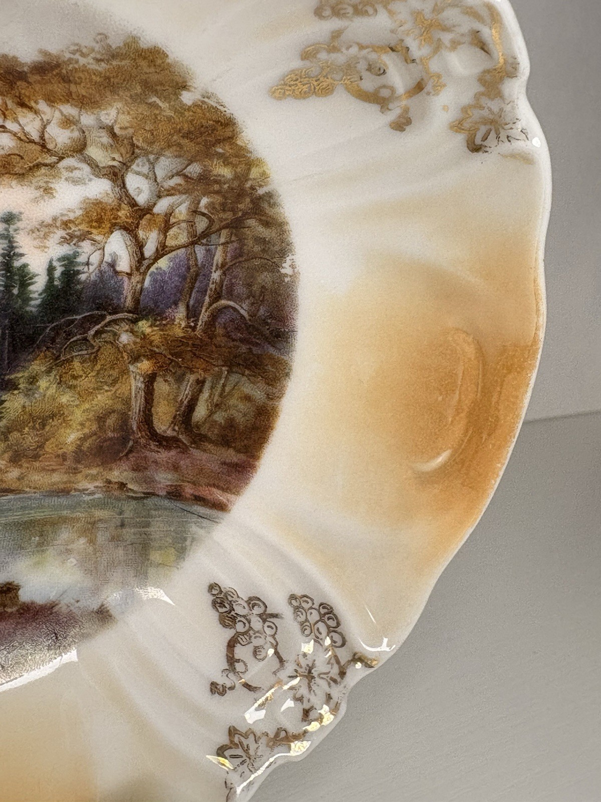 Vintage Porcelain Plate Set Country Riverbank Trees Scene Gold Grape Vine Border