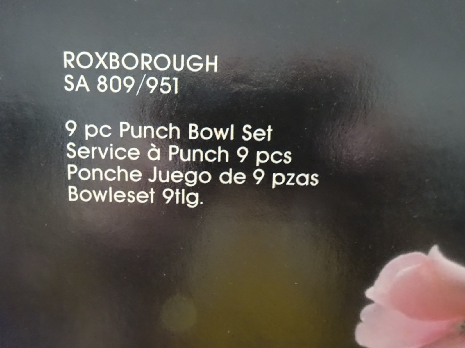 Mikasa Roxborough SA 809/951 Punch Bowl Set 10 pc Germany NIB CR16