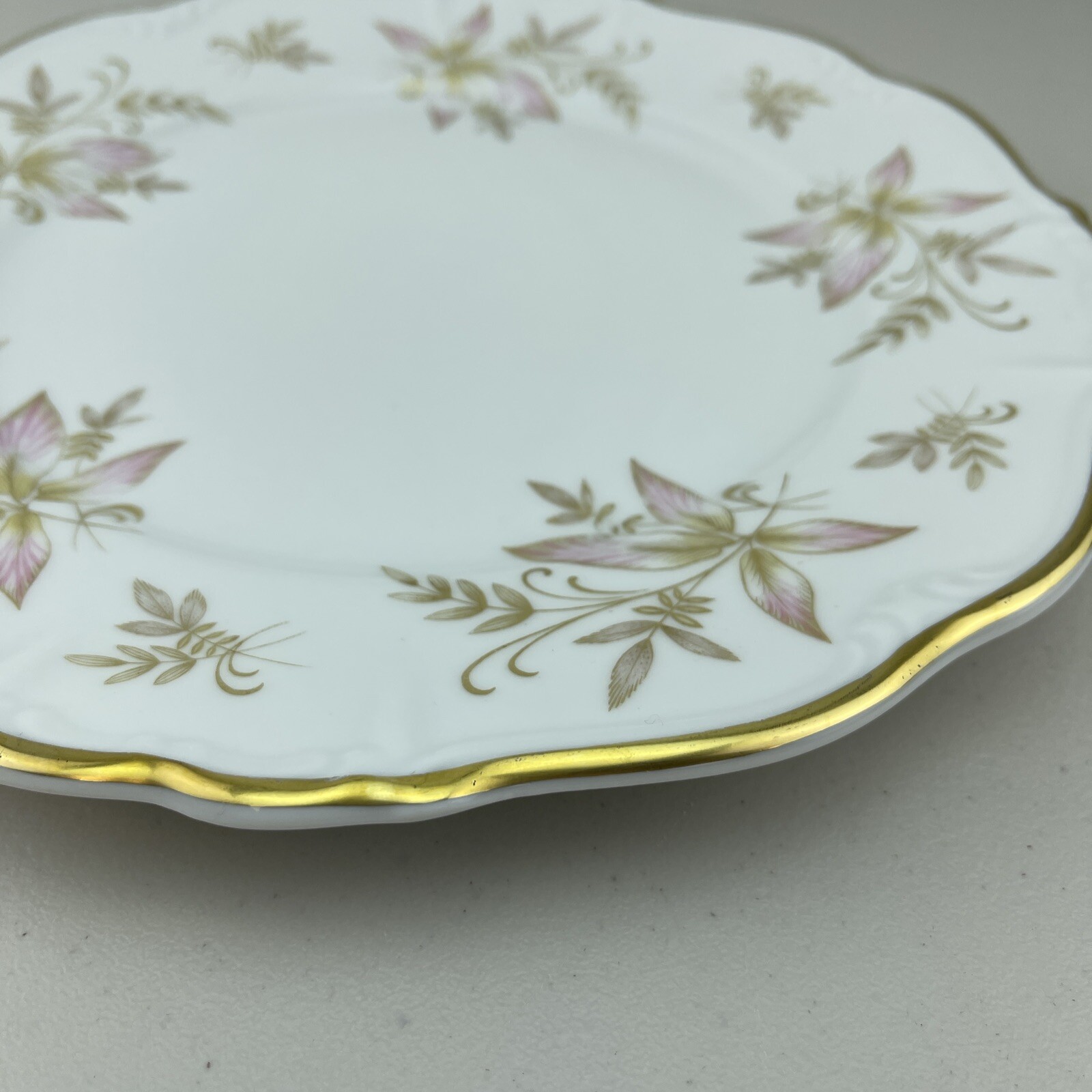 Edelstein Bavaria Maria-Theresia OAKLAND 19705 30 Dinner Plate 10″