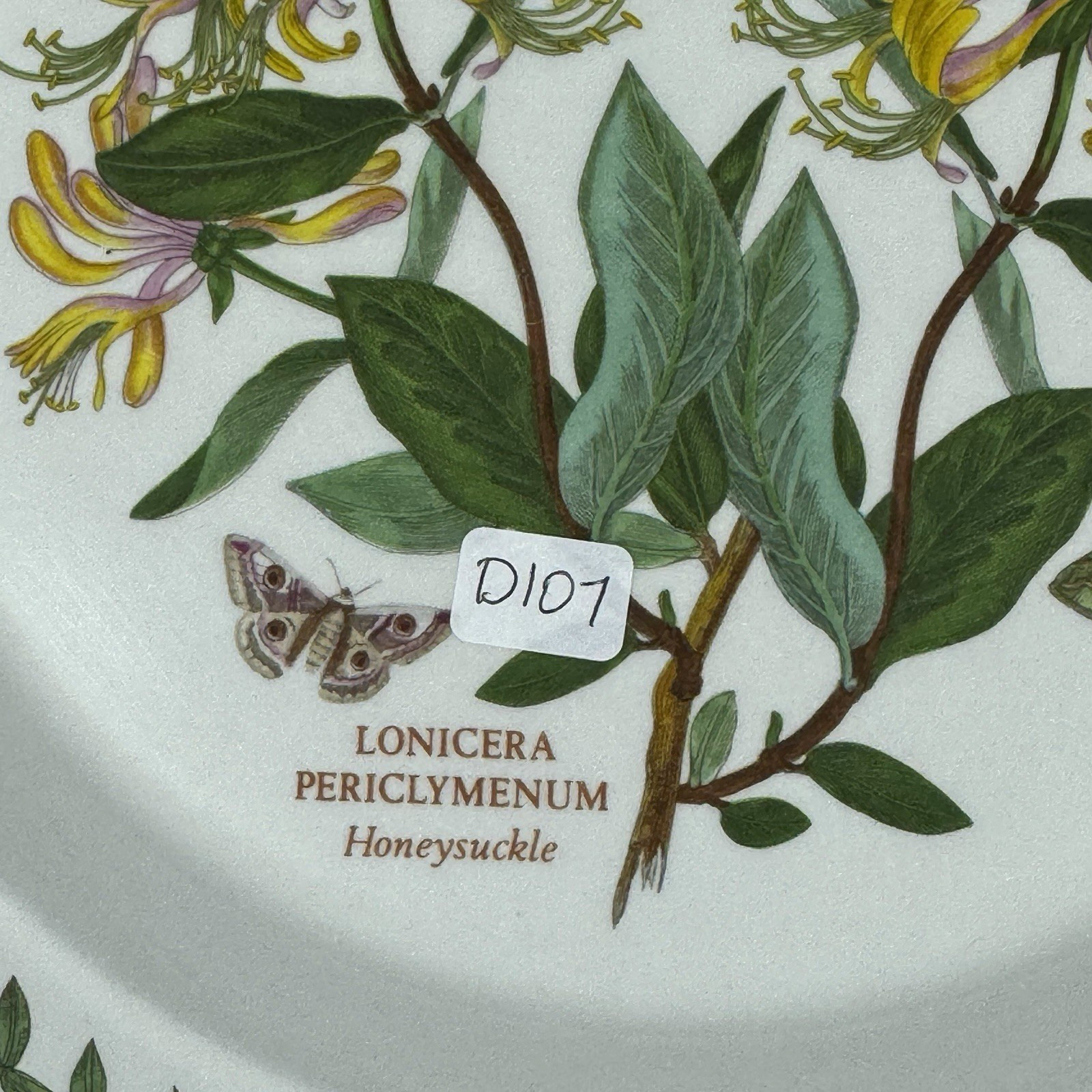 Vintage Portmeirion Botanic Garden Honeysuckle 10.5″ Dinner Plate England