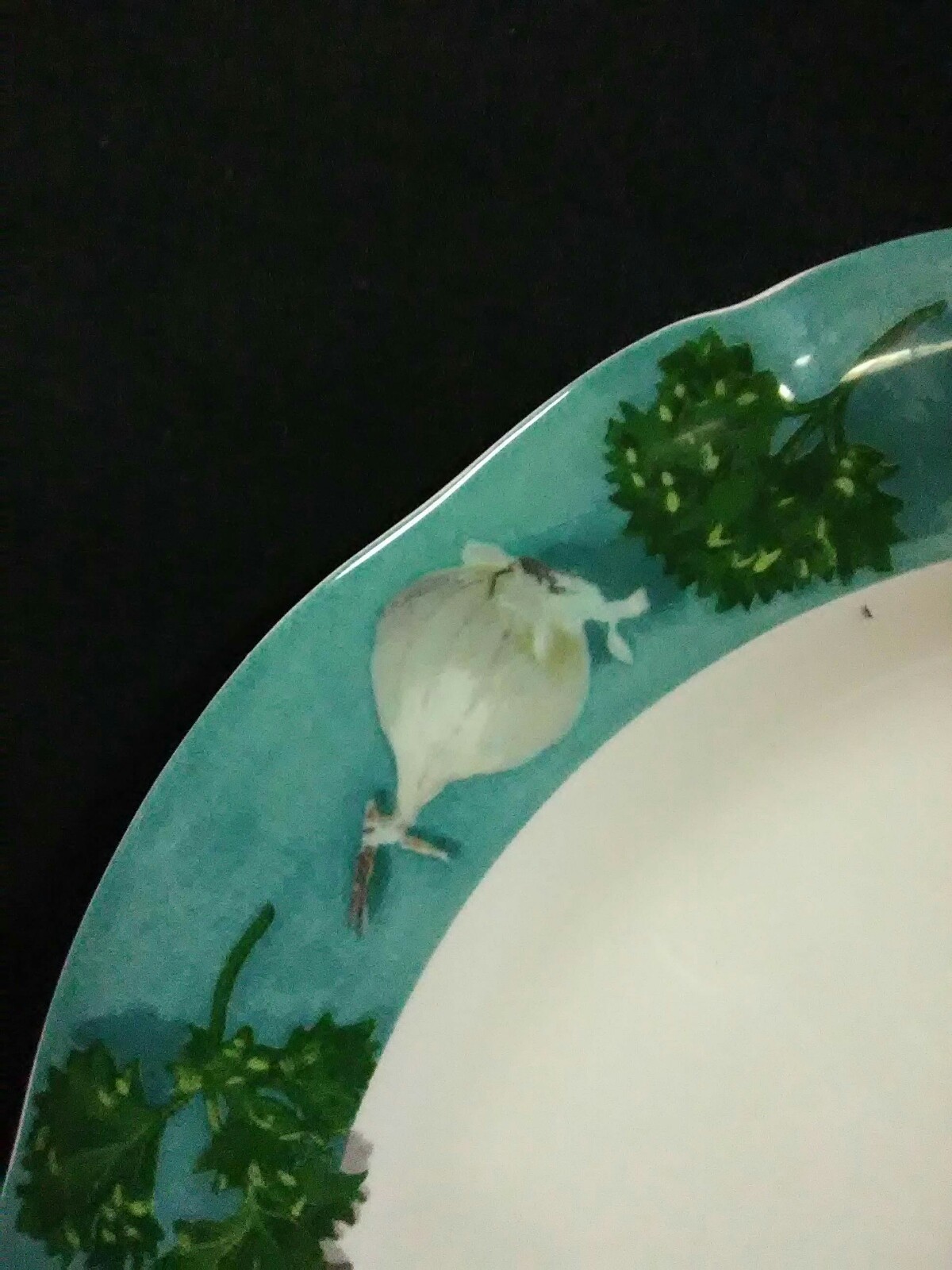 Vtg.Gien Poivre et Sel France Turquoise Border Red Pepper w/Shallots Salad Plate