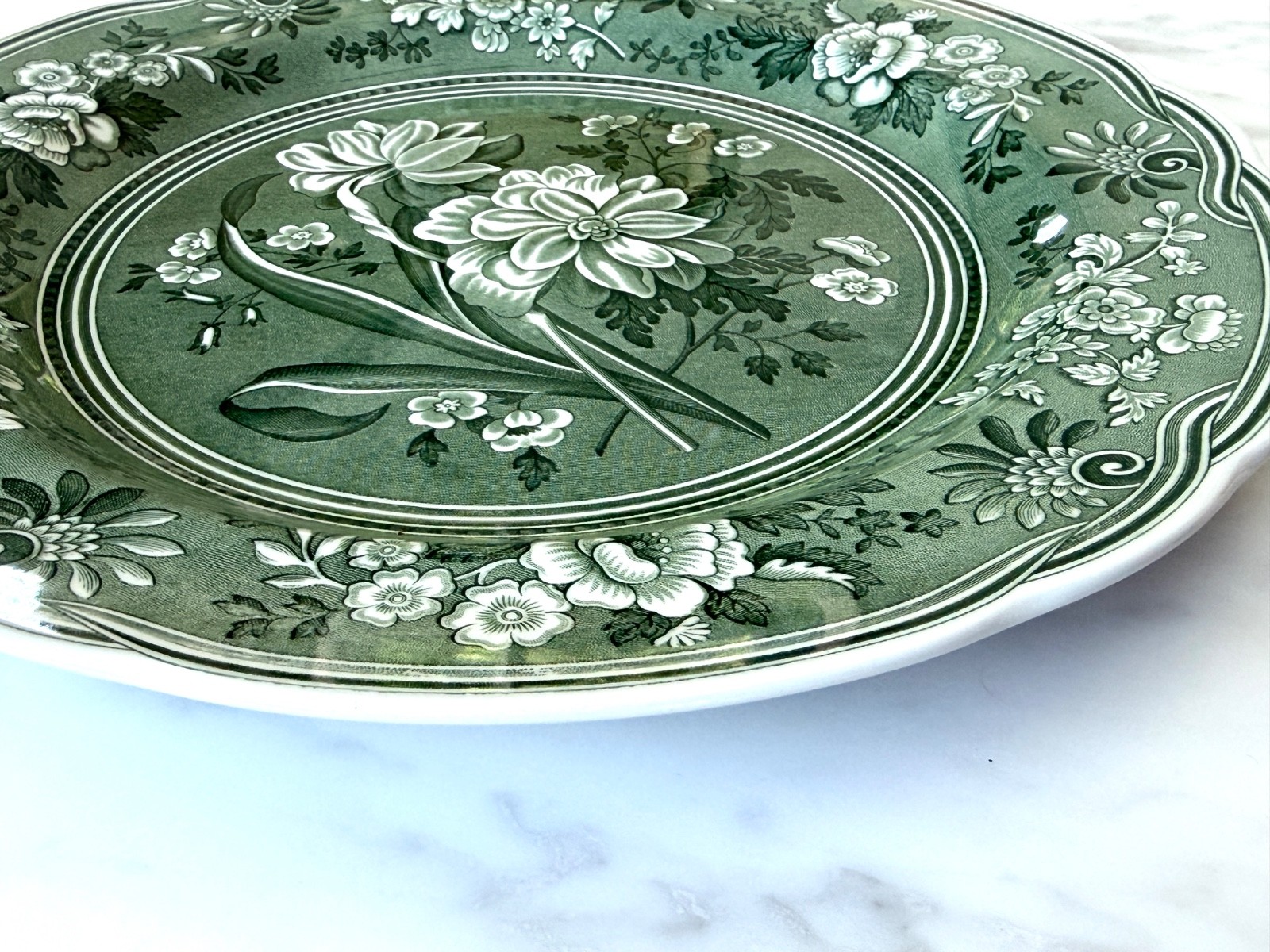 Spode Green Botanical Plate Georgian Series Archive Collection England 10 1/2″