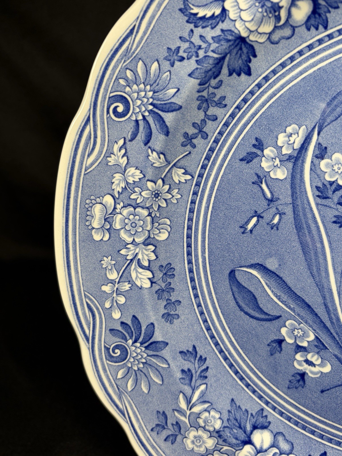 The Spode Blue Room Collection “Botanical” Plate Made In England 10.5″