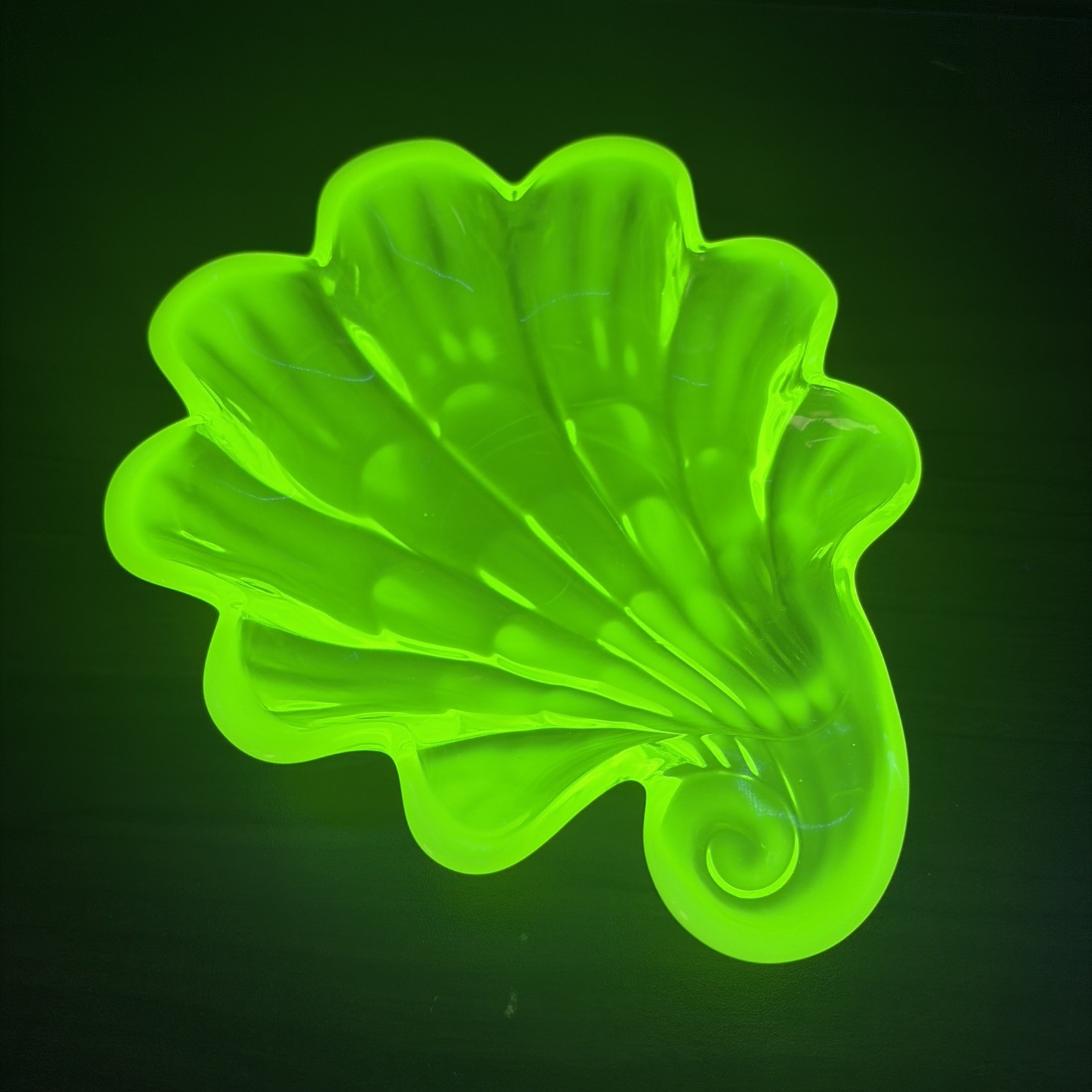 Duncan Miller Clam Sea Shell Trinket Dish 6.5″ Vaseline Uranium Opalescent Glow