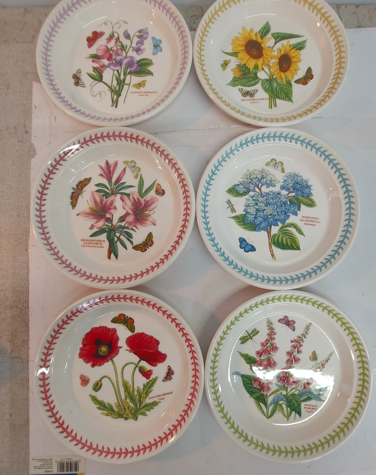 Portmeirion botanic garden MEADOW set of 6 assorted Salad plates—–9902—-