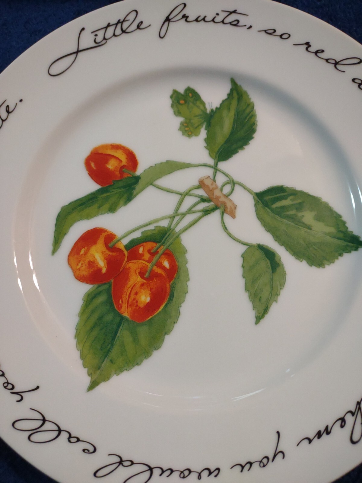 Williams-Sonoma Orchard Suite Cherries Cherry Japan 7 7/8″ Accent Salad Plate