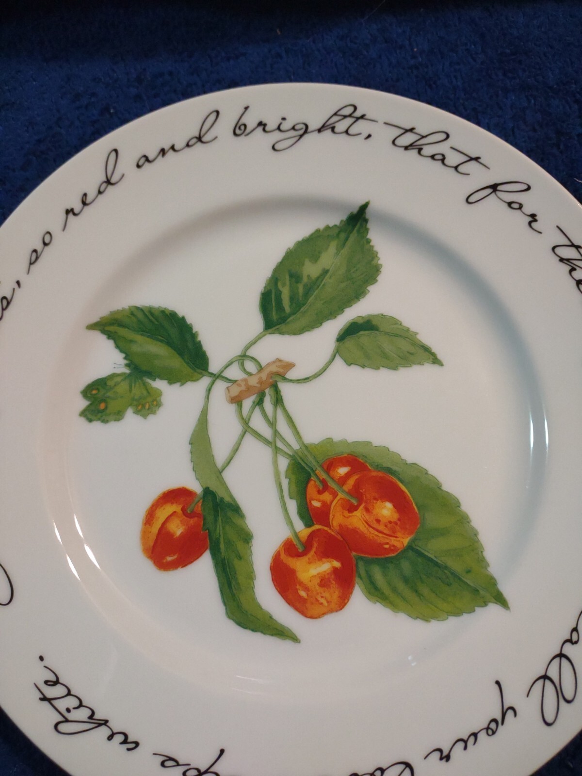 Williams-Sonoma Orchard Suite Cherries Cherry Japan 7 7/8″ Accent Salad Plate