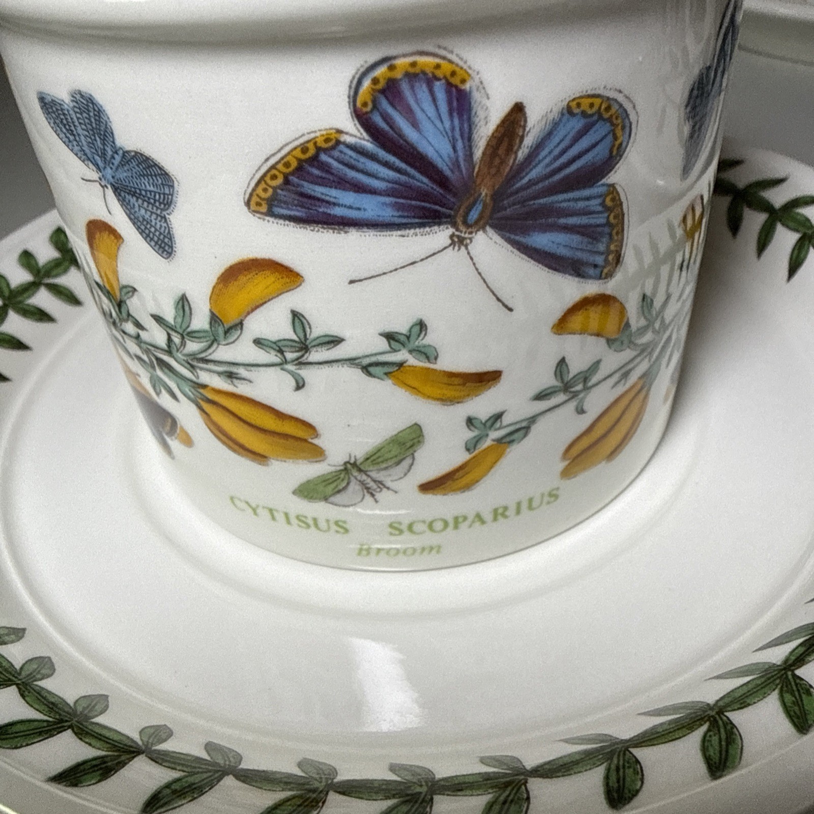 Portmeirion Botanic Garden Set of 6 Flat Cups & Saucers Made in England Assorted