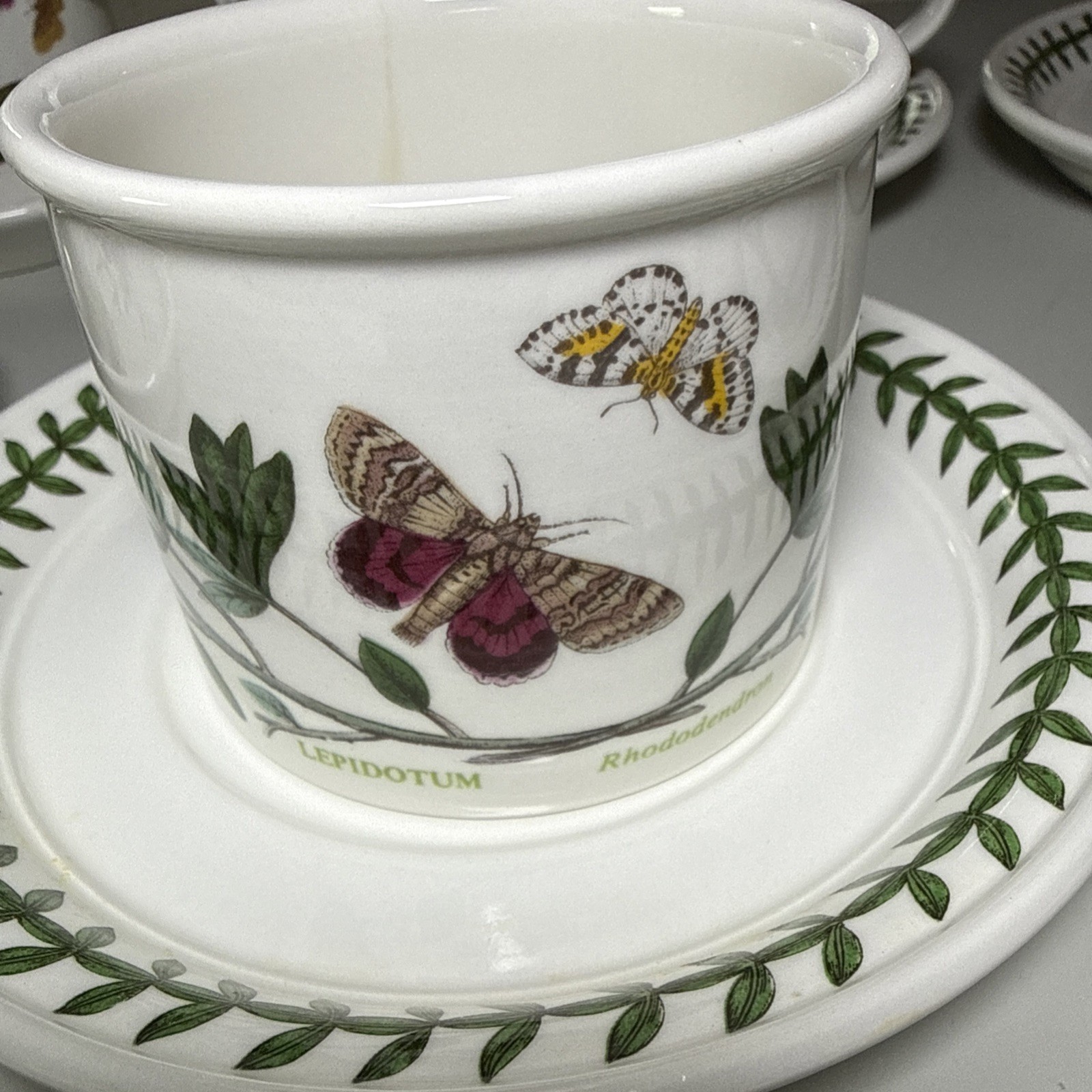 Portmeirion Botanic Garden Set of 6 Flat Cups & Saucers Made in England Assorted