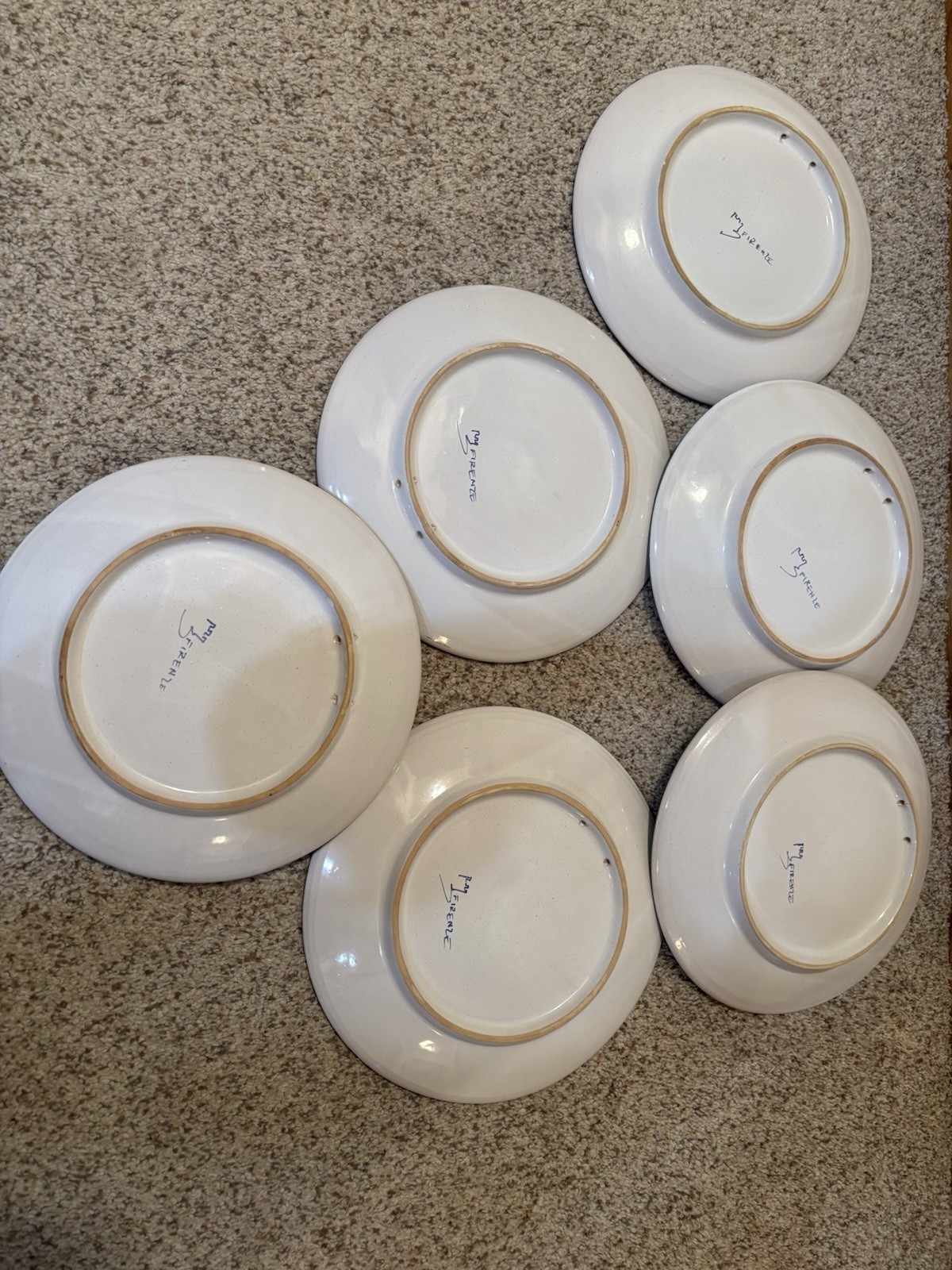 Vintage Set of 6 Italian Hand Painted Firenze Wall Plates 10” Tuscan Floral