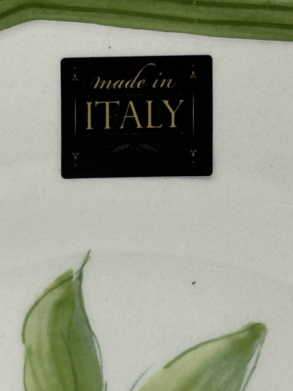 Italian Olive Dinner Plates Set of 2 | Green Rim | Made in Italy ceramica cuore