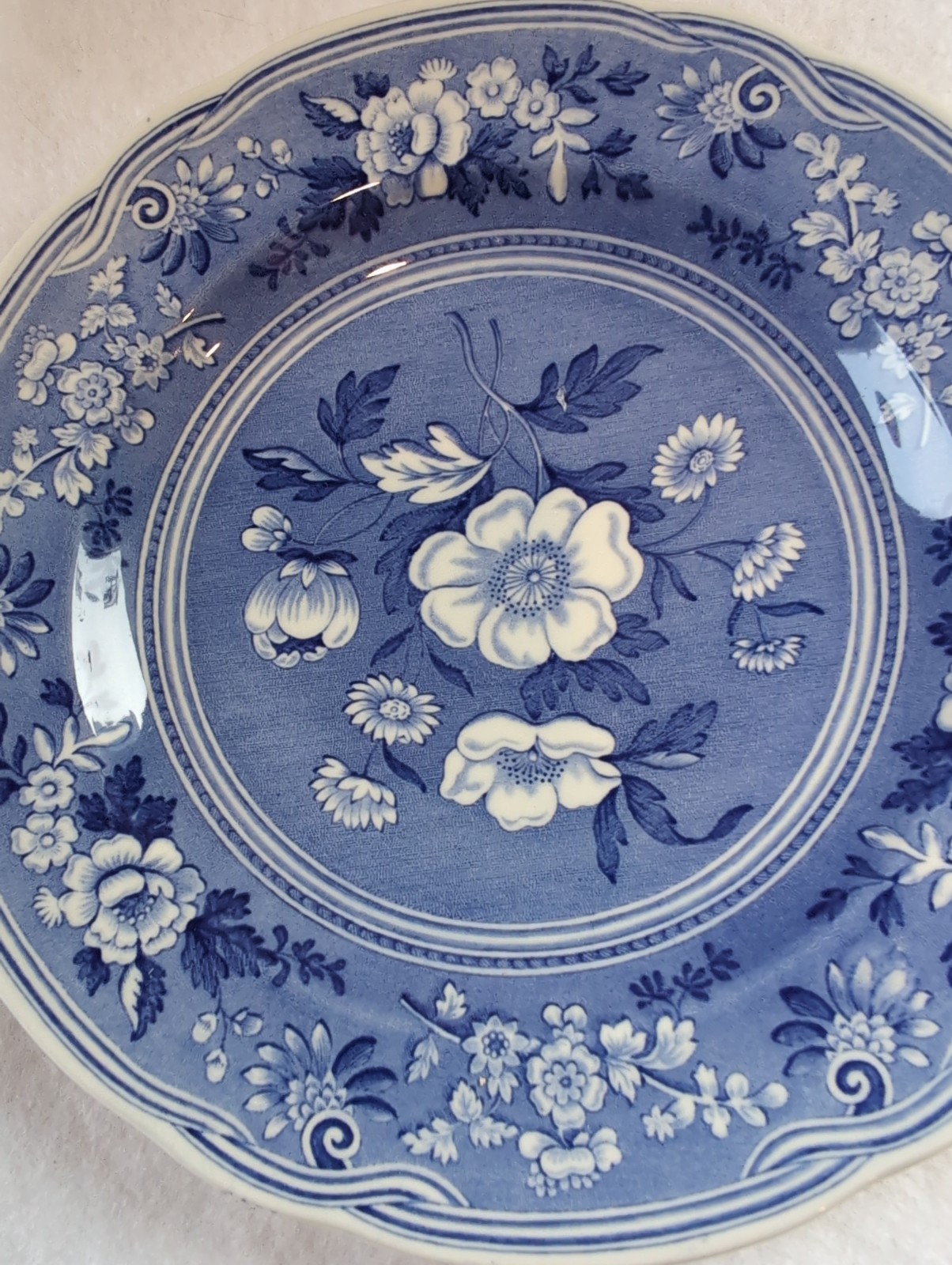 VTG SPODE Botanical 1820 BLUE ROOM COLLECTION 7.5 PLATE – ENGLAND
