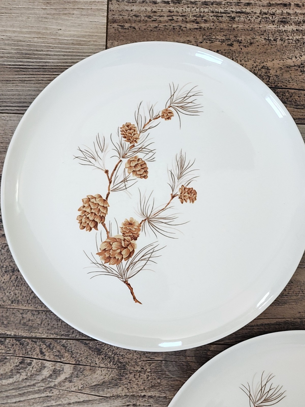 Harmony House Mocha Pine Dinner Plates | Set of 3 | Pinecones | 10″