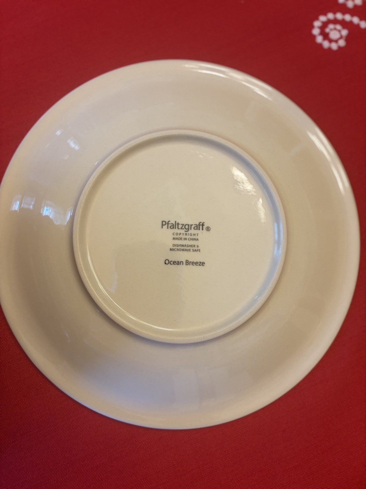 Pfaltzgraff “Ocean Breeze” Dinner Plate – 10″ – Stoneware – Coastal Blue & Green