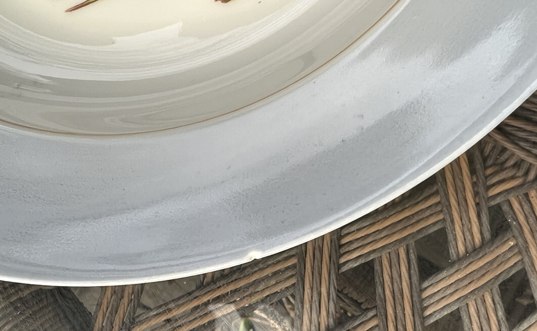 Haviland & Co Set of 4 Soup Bowls Blue Rim Floral Pattern Limoges France