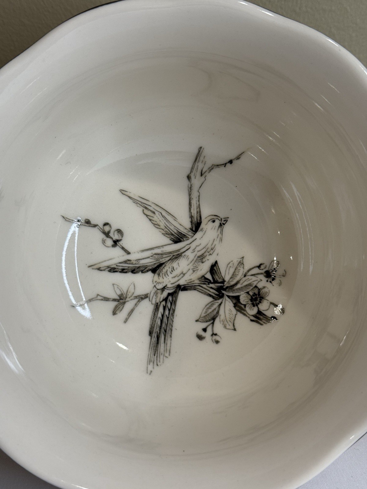 222 Fifth Adelaide Antique White Porcelain Soup Cereal Bowls Set of Four New