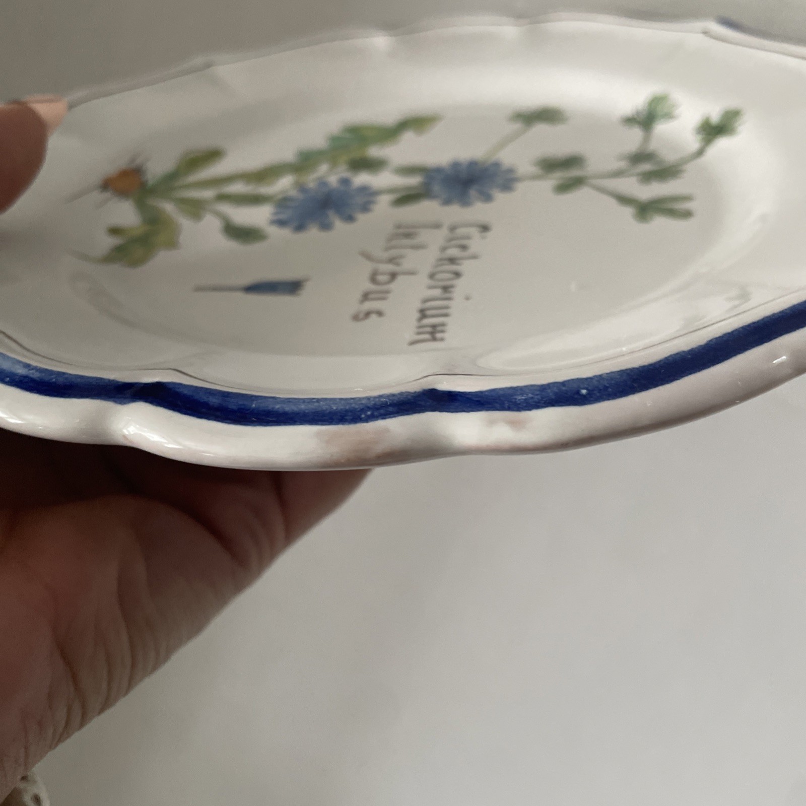 Vintage ND Dolfi Montelupo Italy Floral Wall Plates Set of 2