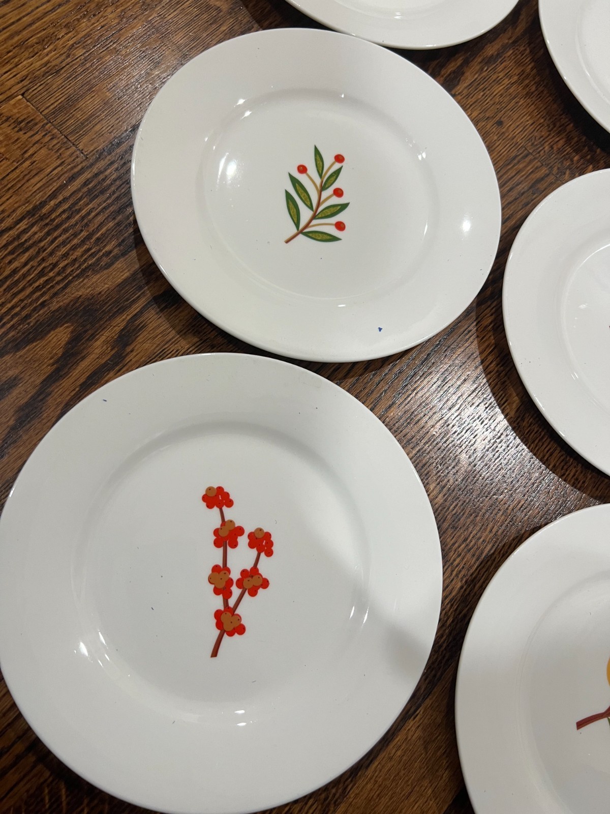 6 CRATE & BARREL ‘Berry Sprigs’ 7½” SALAD/DESSERT PLATES: Fruits & Leaves (6)