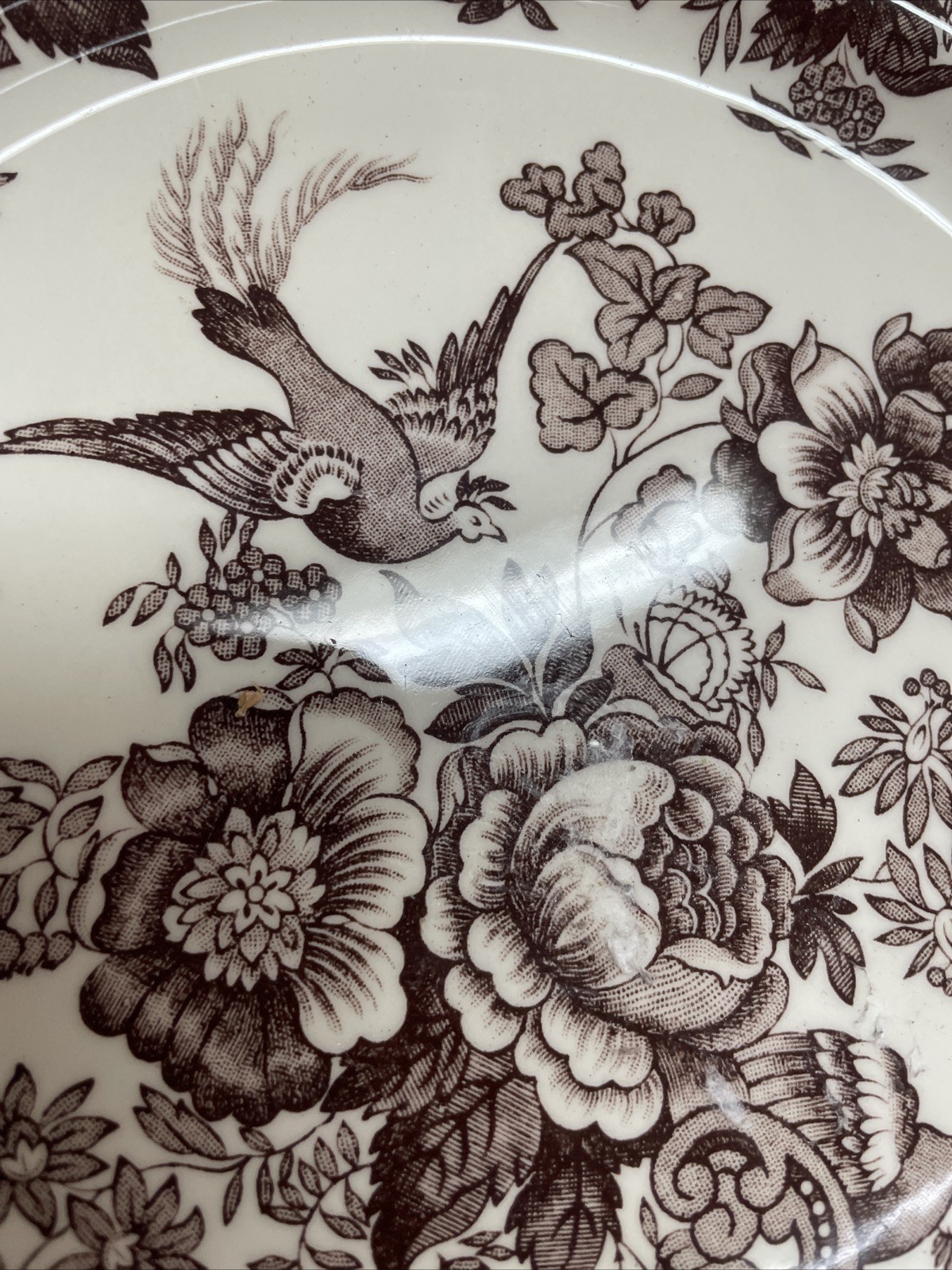 Royal Stafford Brown Transferware 11 “Dinner Plate Asiatic Pheasant