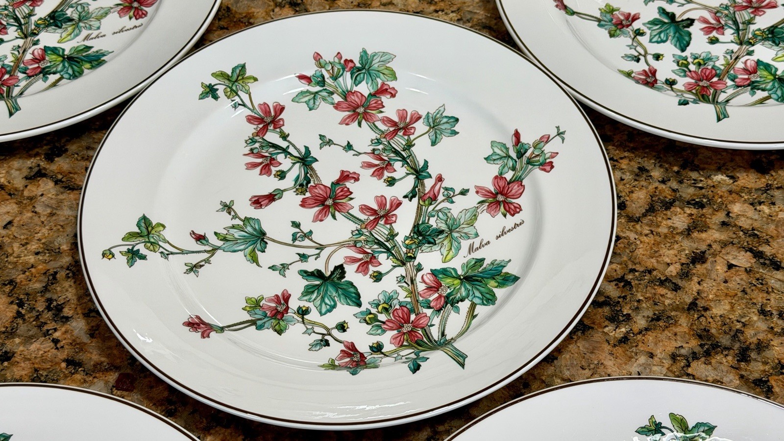VTG Villeroy Boch Botanica Malva Silvestris 6 Dinner Plates 10-3/8 Luxembourg