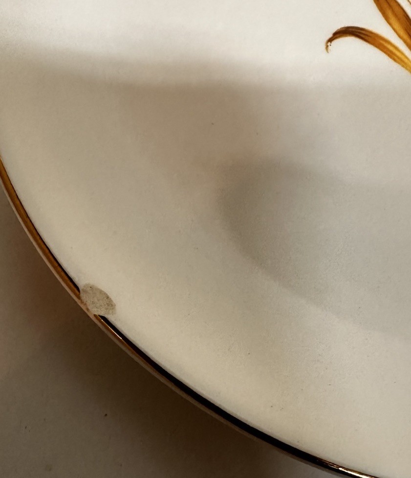 Taylor Smith Wheat Pattern Dish’s 1950s USA Made Eight Piece Set E7