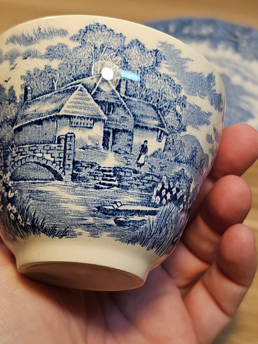 Vtg English Village By Salem China Co. Olde Staffordshire Ironstone Cup & Saucer