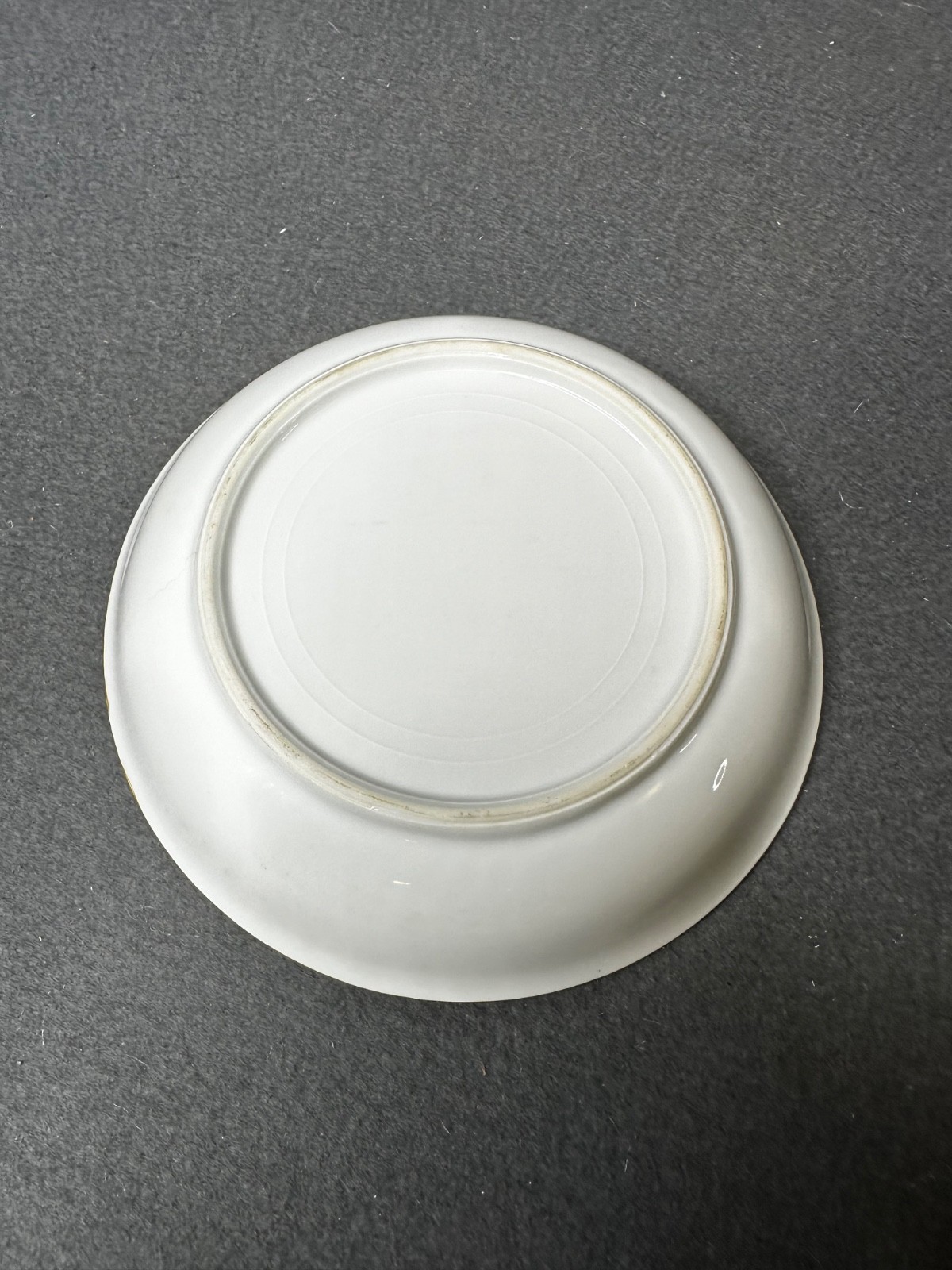 Vintage Set of (11) Hand Painted Thomas S Bavaria 7.5″ Bread Plates