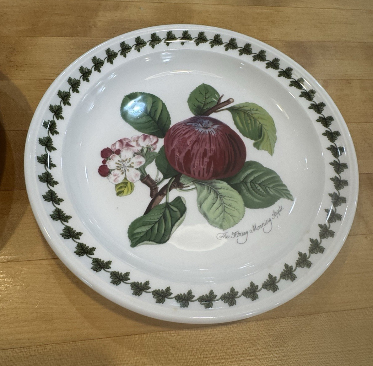 PORTMEIRION Set of 2 POMONA 8.5″ Salad Plates ~ Apple & Pear with Leaf Motif