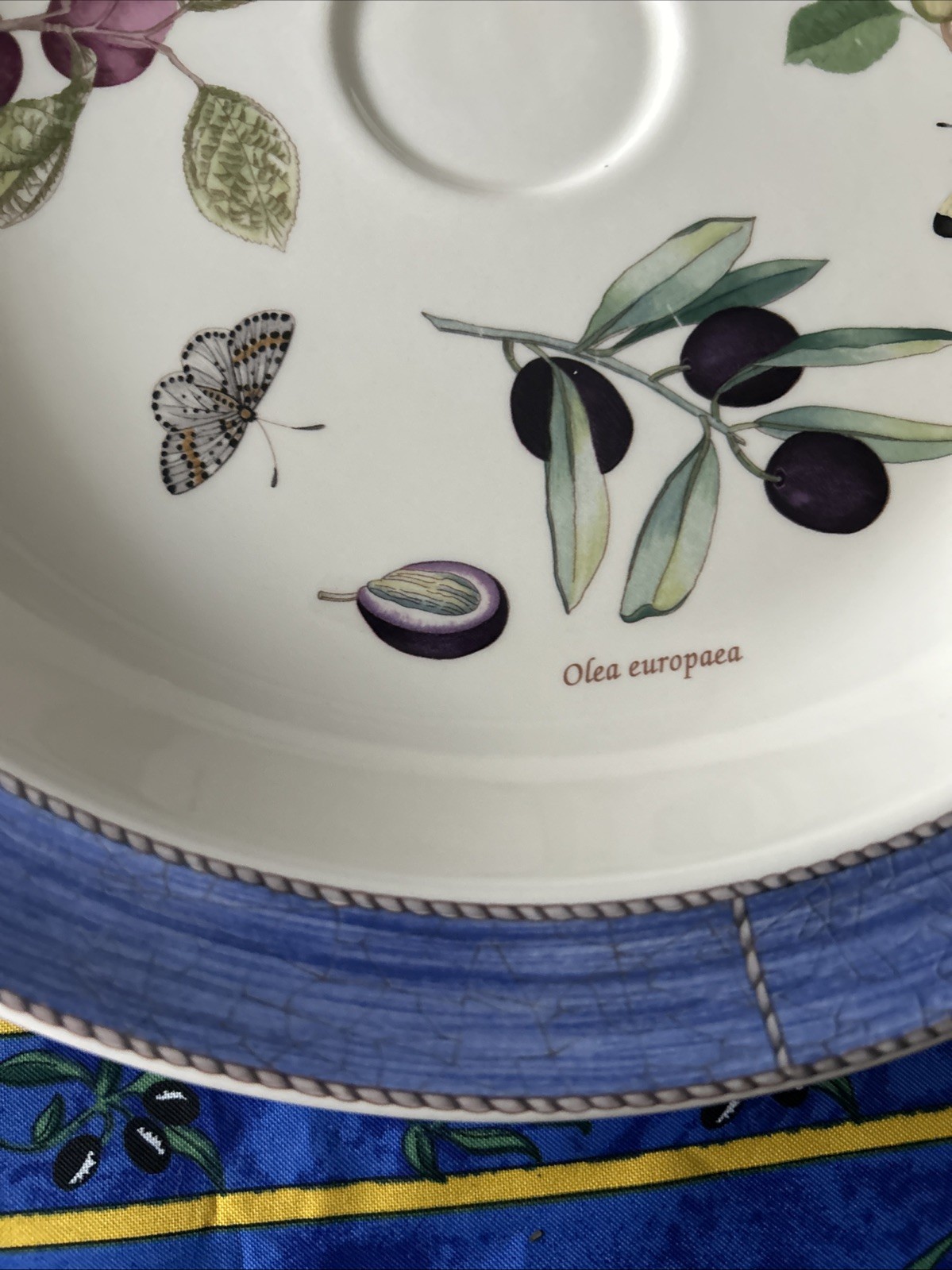 Vtg Wedgwood Sarah’s Garden Serving Tray Featuring A Blue Textured Rim & Fruit.