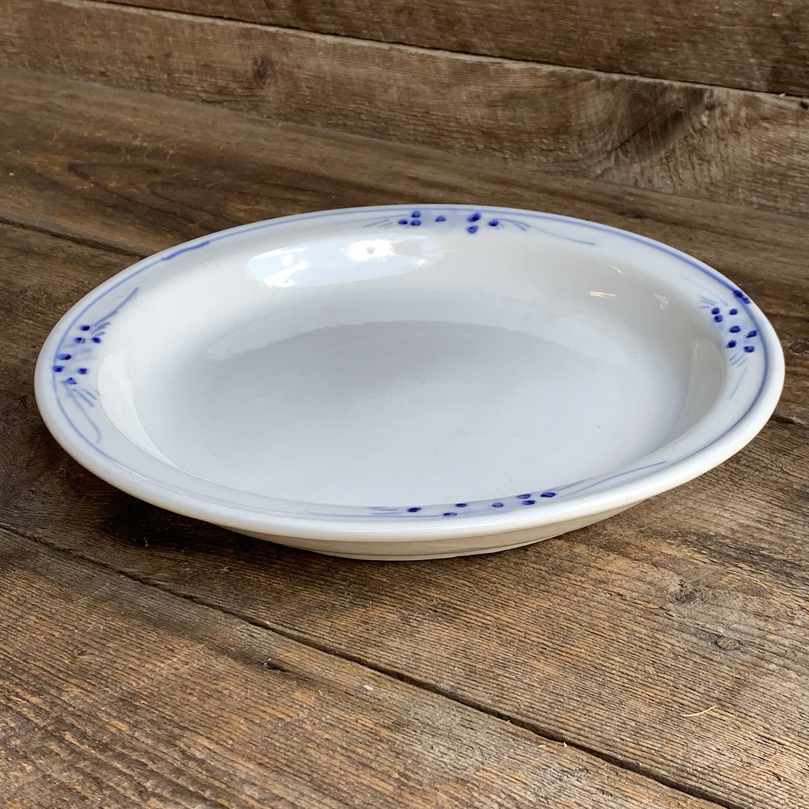 Blue White Serving Dish 10.5” Round Ceramic Earthenware
