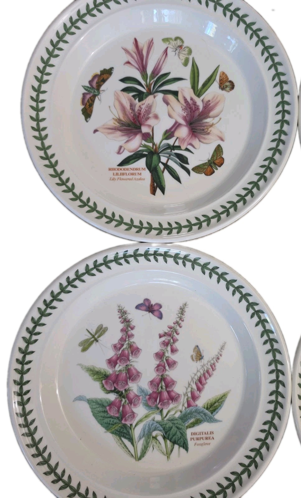 Vintage Set of 5 Portmeirion Botanic Garden Dinner Plates Flowers 10-1/2”