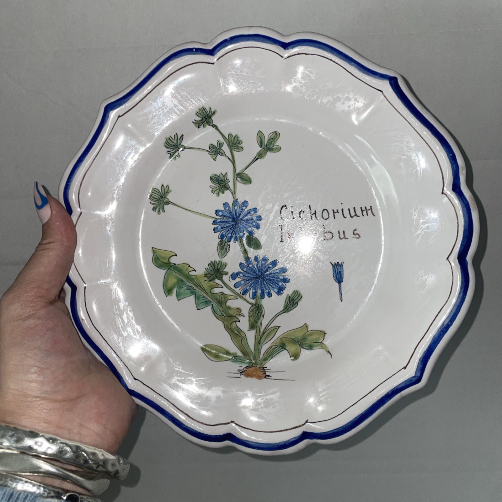 Vintage ND Dolfi Montelupo Italy Floral Wall Plates Set of 2