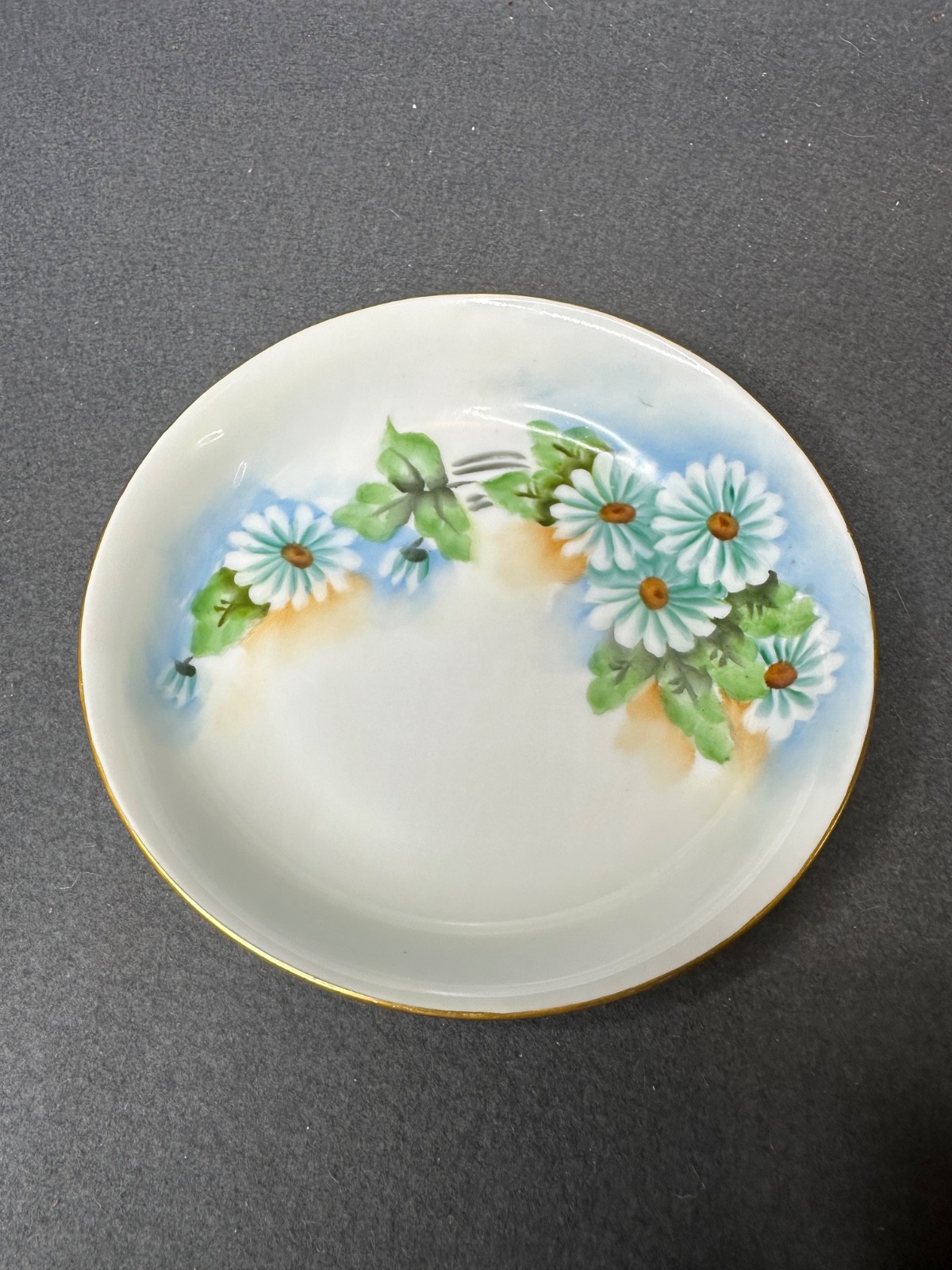 Vintage Set of (11) Hand Painted Thomas S Bavaria 7.5″ Bread Plates
