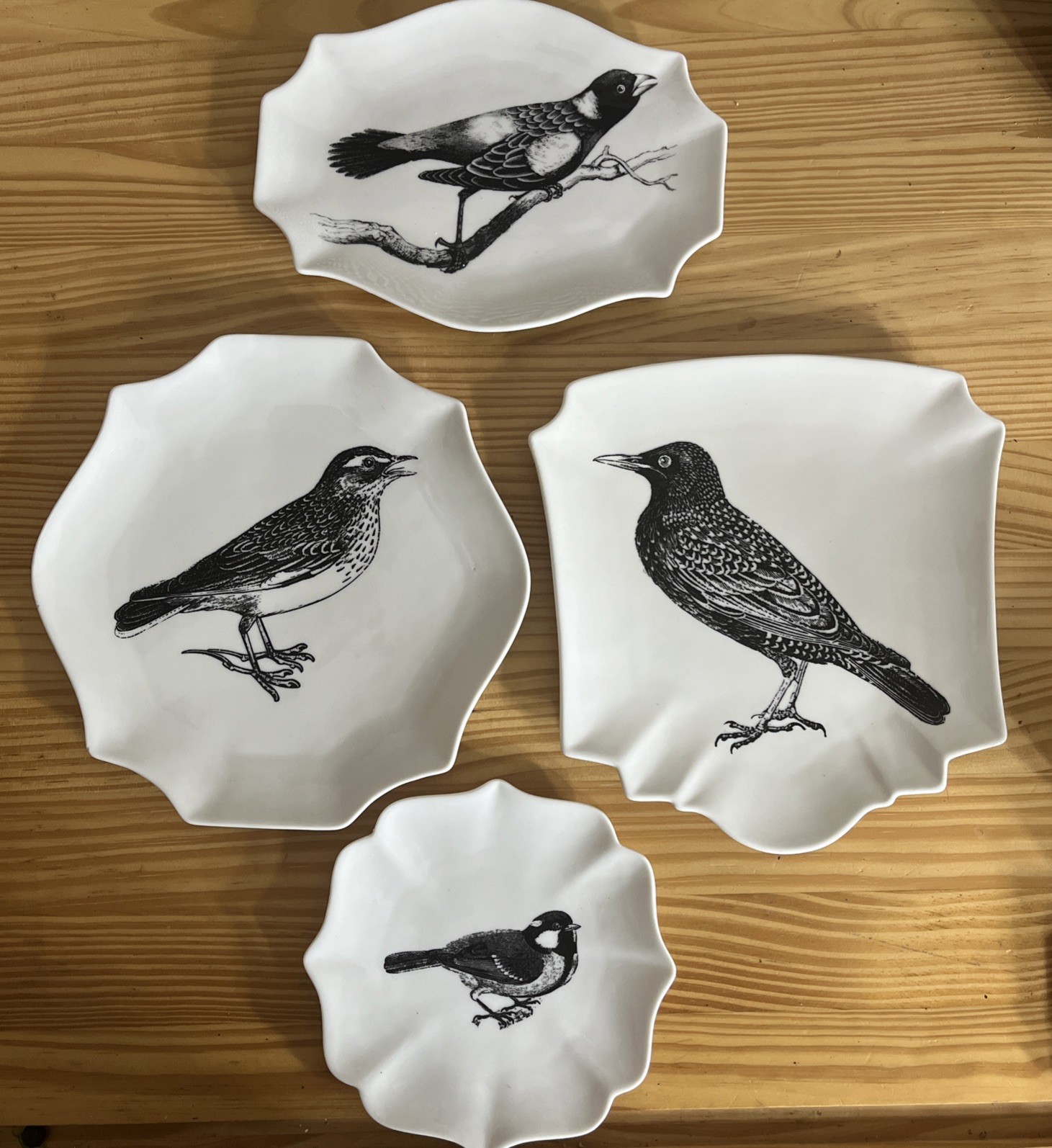 Creative Co-Op Botanical Bistro Bird Plates Stoneware Black & White Set of 4