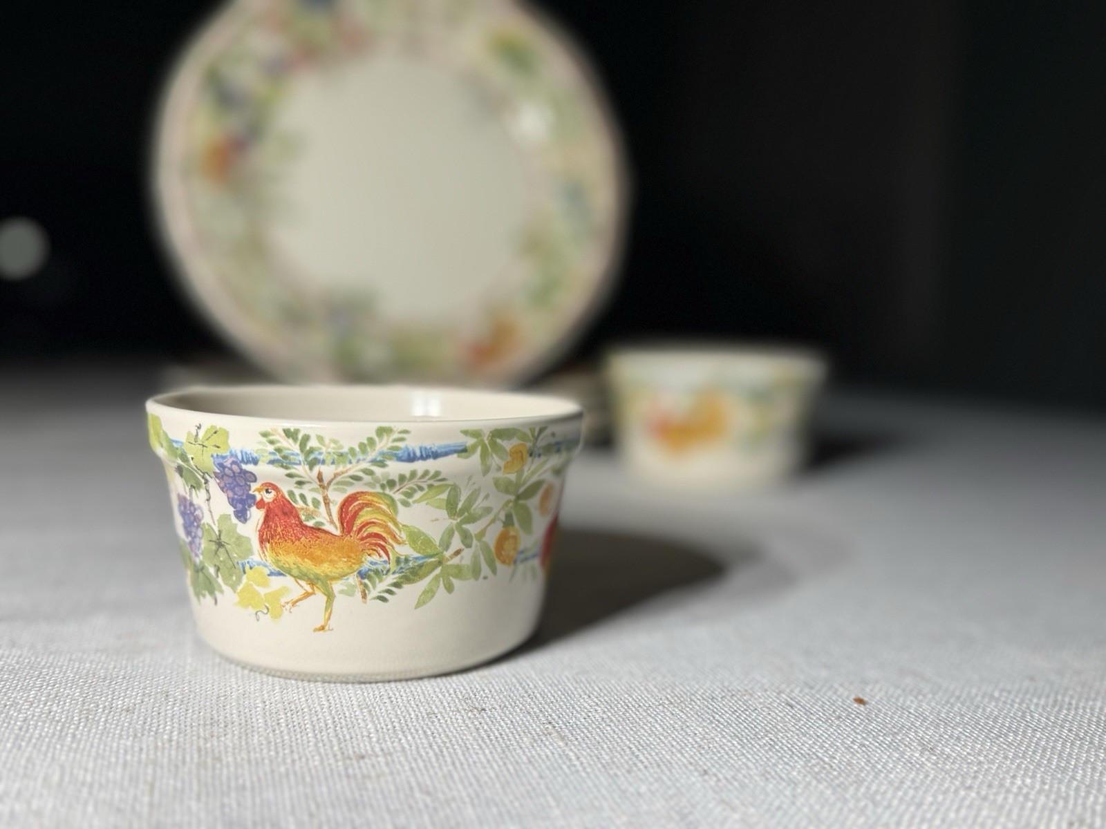 Gien France Villa Medicis Lunch Plates 9.25” Set 4 + 2 Baking Ramekins Faience