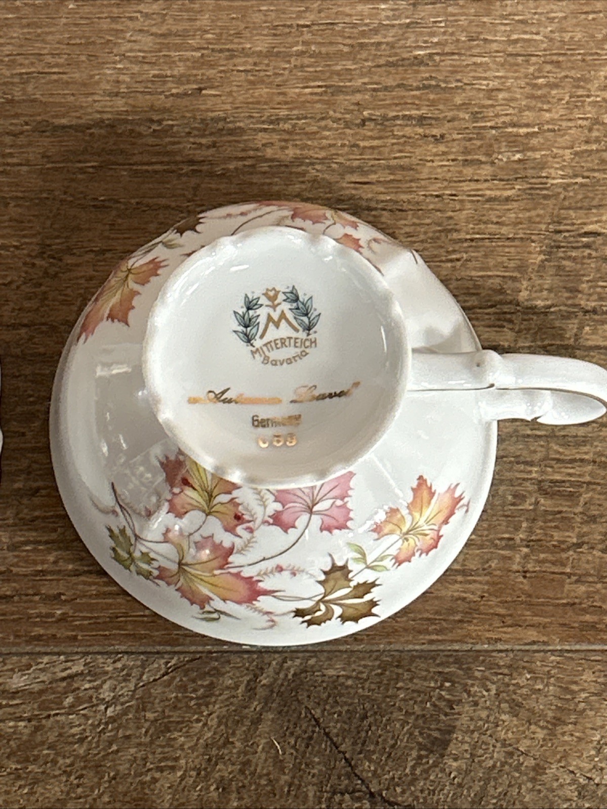 Mitterteich Bavaria Tea Coffee Cup Saucer Autumn Leaves Gold Pink Footed