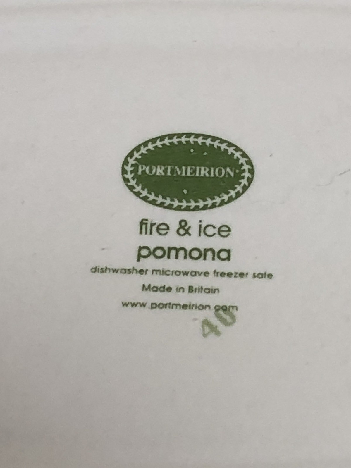 PORTMEIRION fire & ice pomona The Teinton SQUASH PEAR 9 x 13 Oval Steak Platter