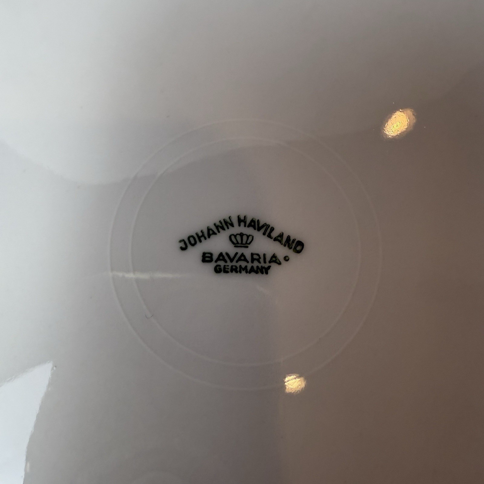 Johann Haviland Bavaria Sepia Rose – 10.5” Dinner Plate – Fine China Germany