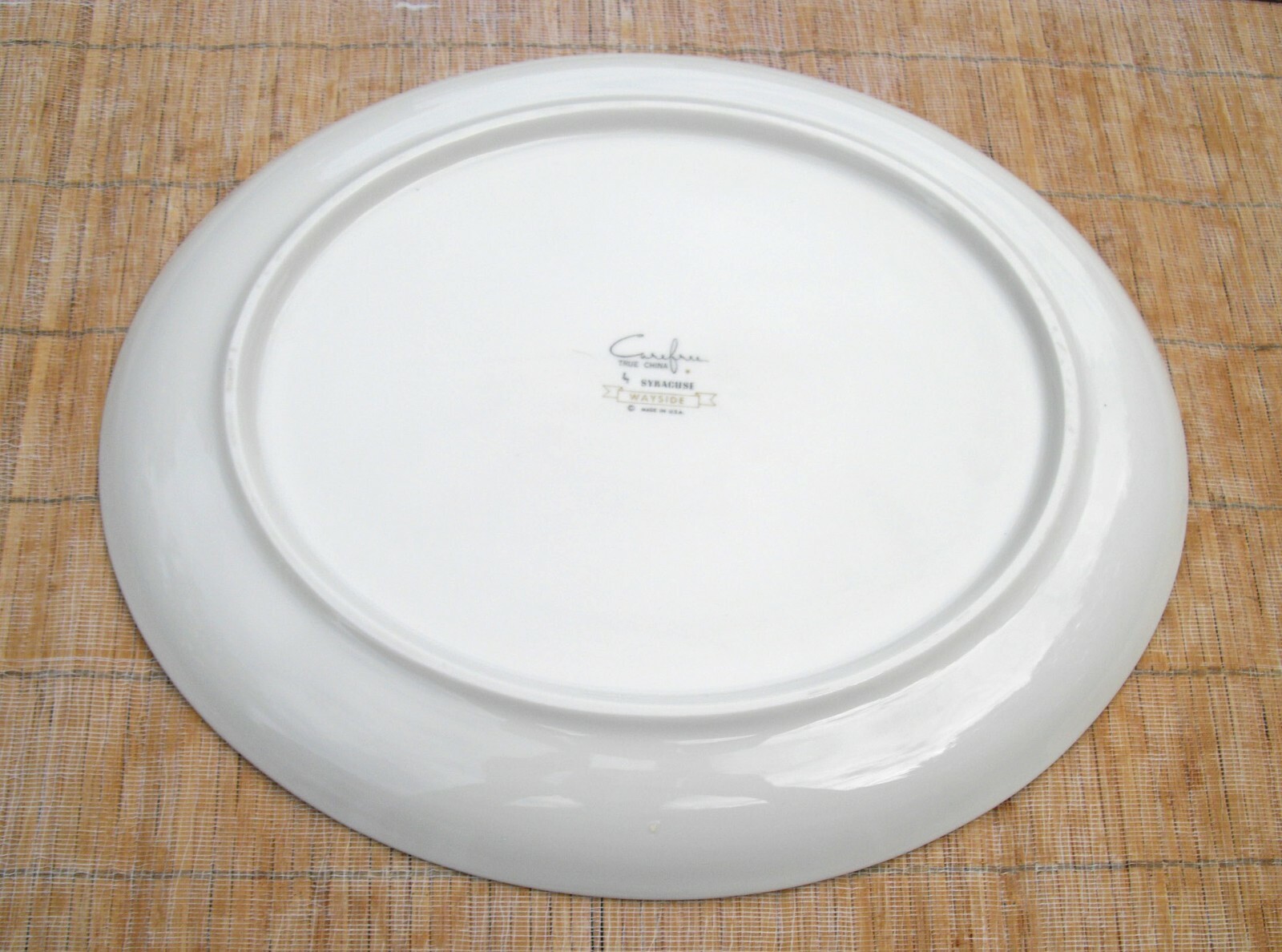 Vintage Syracuse China CAREFREE WAYSIDE Fruits 11 1/2″ Platter ~