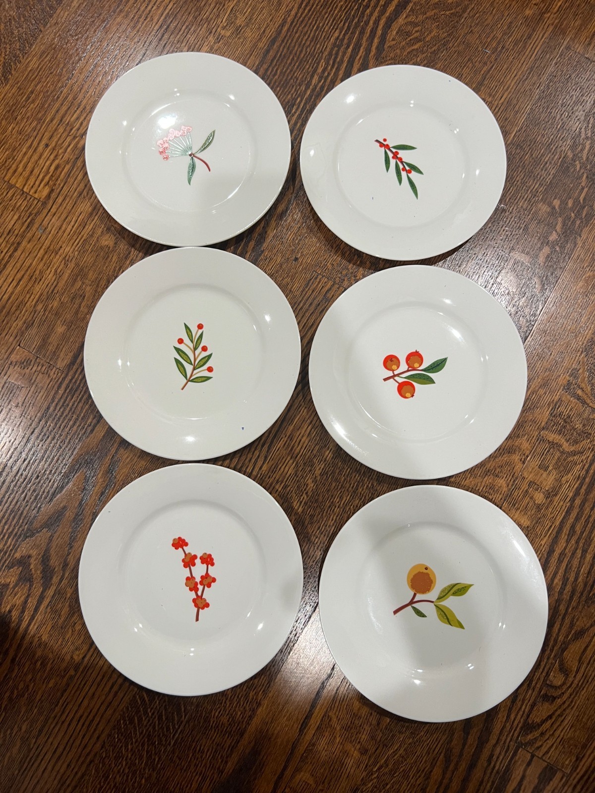 6 CRATE & BARREL ‘Berry Sprigs’ 7½” SALAD/DESSERT PLATES: Fruits & Leaves (6)