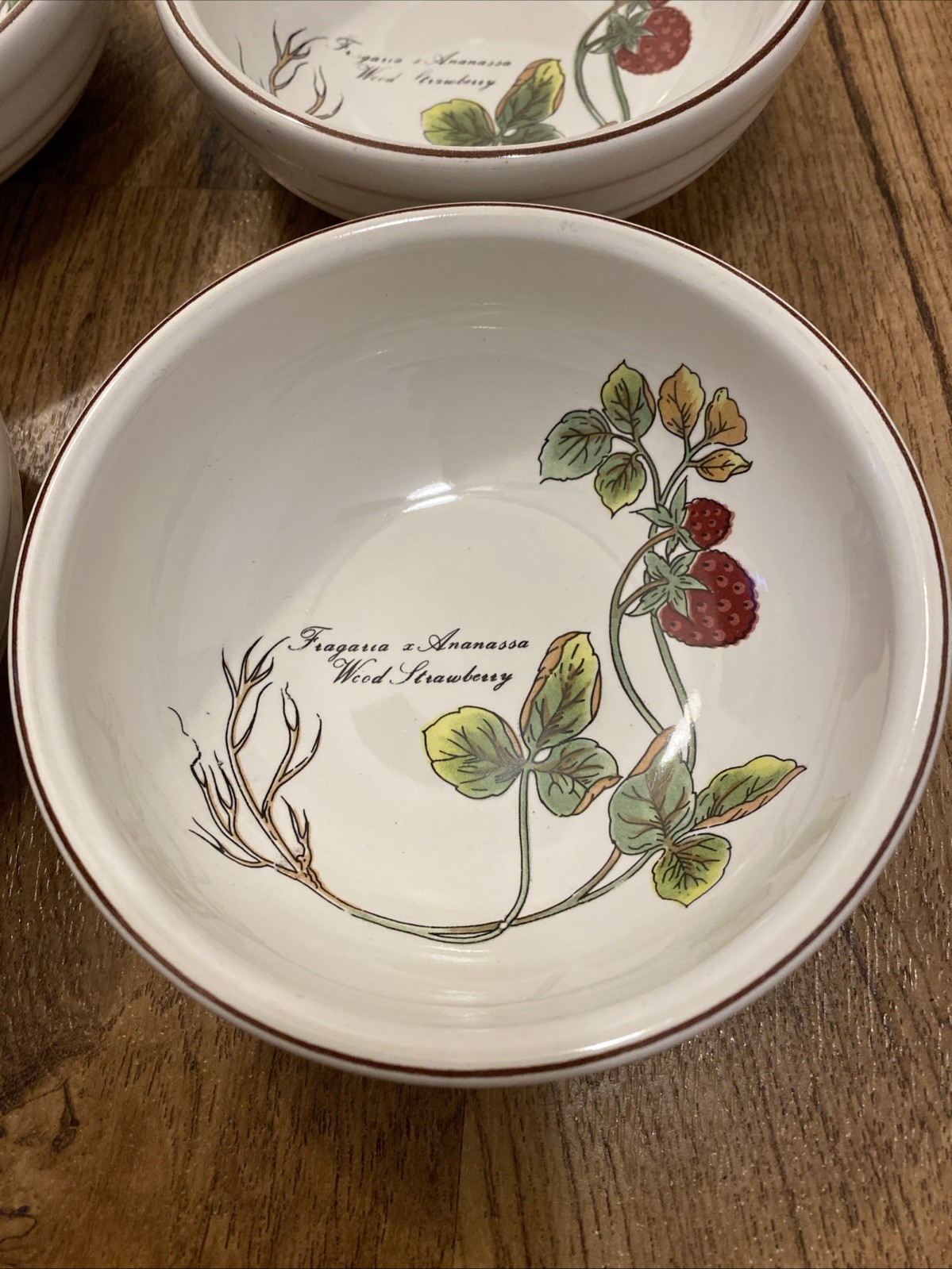 Jepcor International Botanical Garden Set O 4 Dessert/Berry Bowls Made In Korea