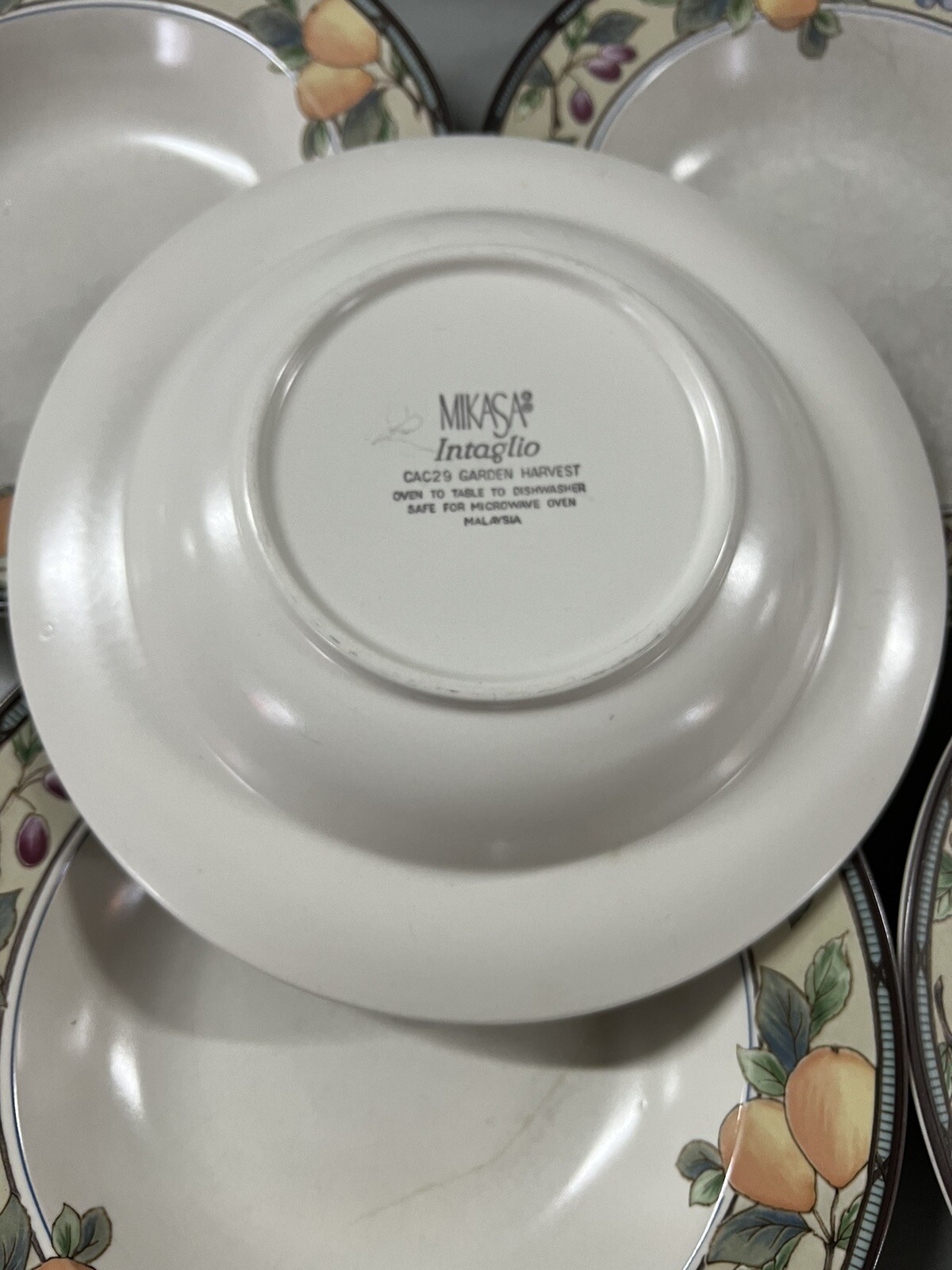 5 Mikasa Intaglio Garden Harvest Rimmed Soup Pasta Bowls 9 1/4″ Fruit and Leaves