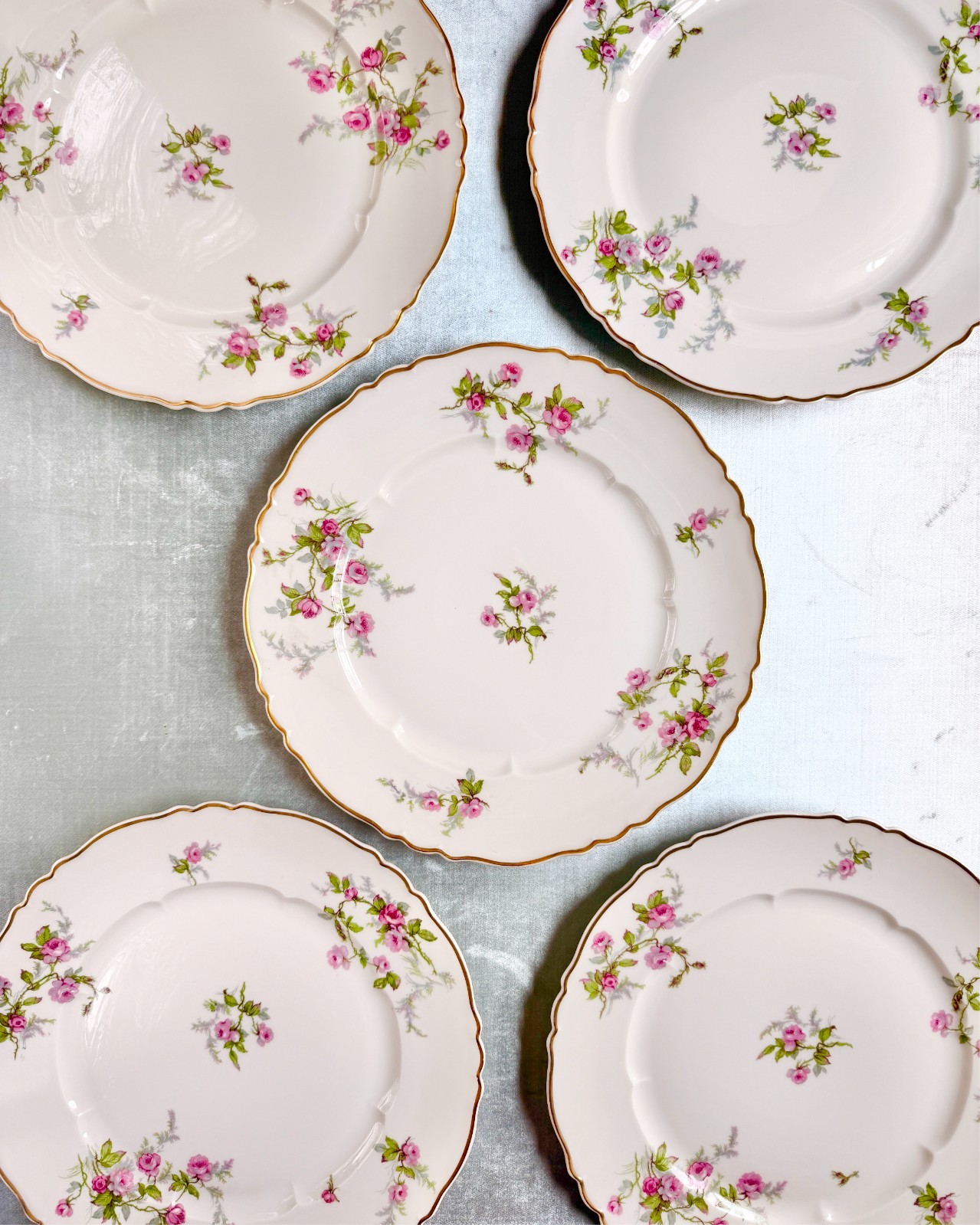 Haviland Sylvia White Louis XIV 10.25″ Dinner Plate French Limoges 1946-1962