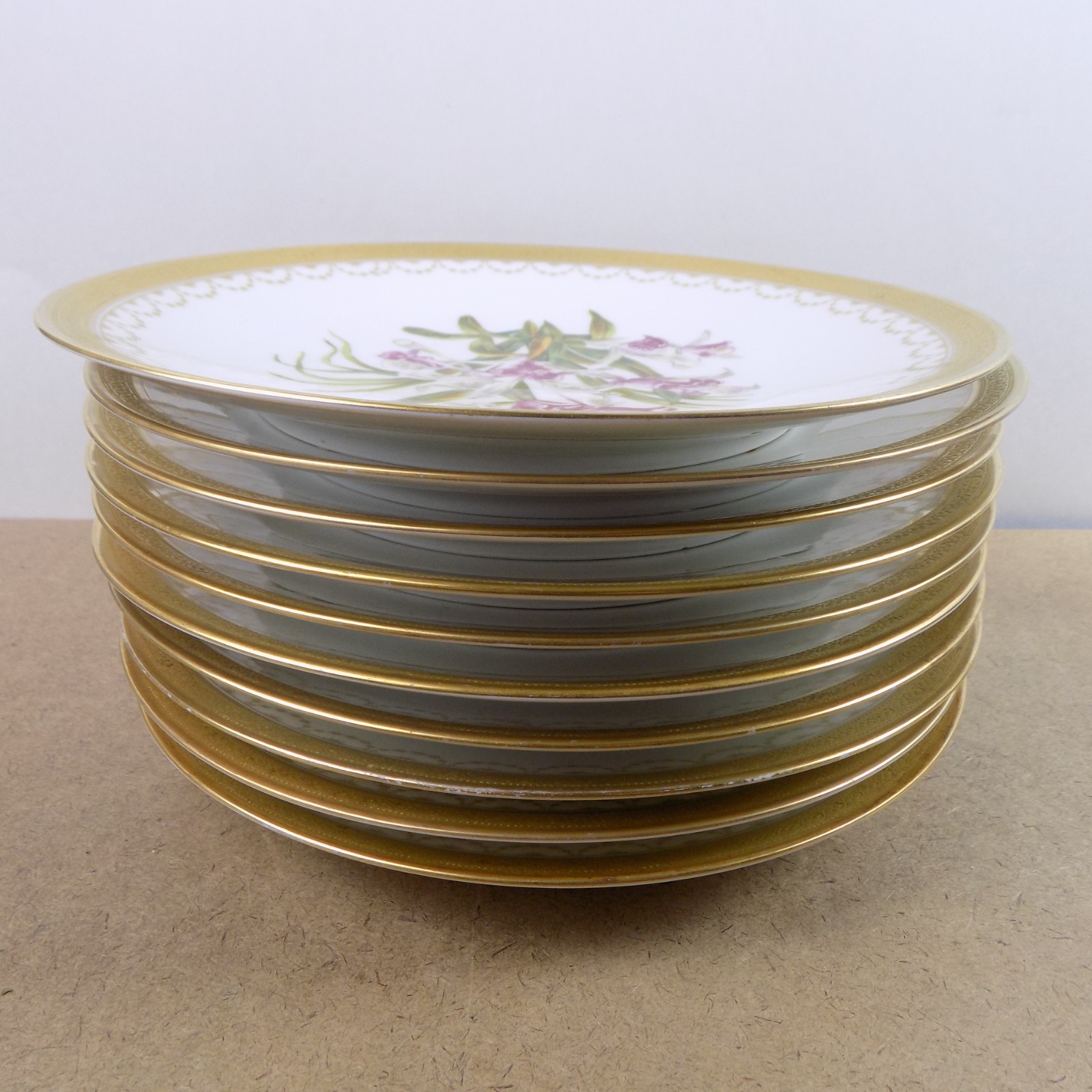 10 Antique T&V Limoges Hand Painted Botanical Plates Ovington Bros New York