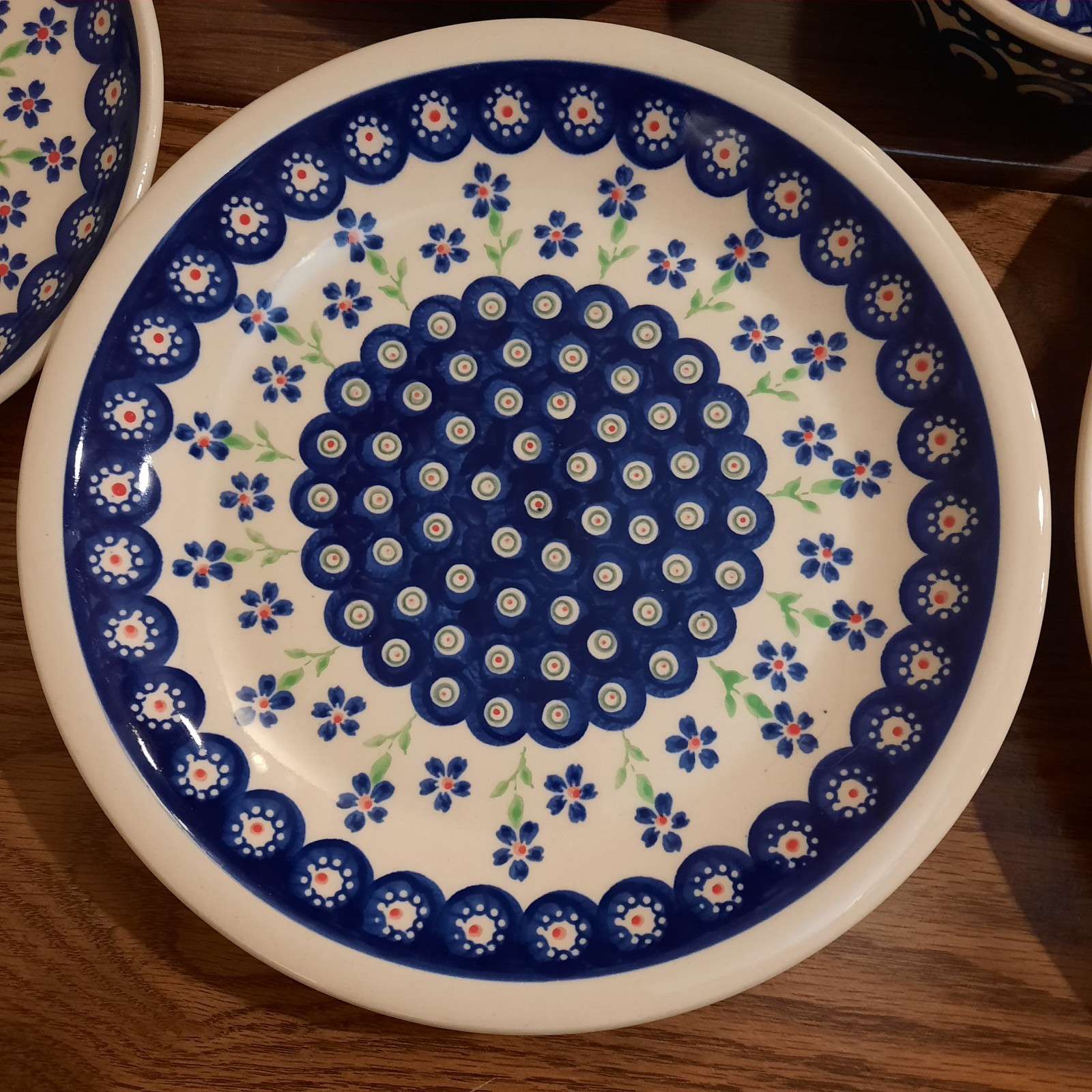11-Piece Wiza, Boleslawiac Handmade & Hand-Painted Dishes~Platter, Plates, Bowls