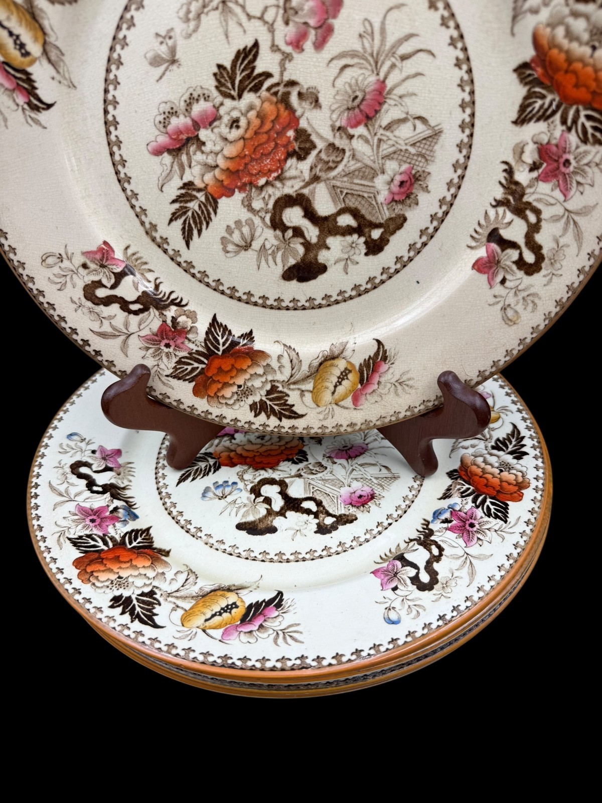 Wedgwood Bullfinch Brown Multicolor (Brown Trim) Dinner Plate 10 3/8″ Lot of 5