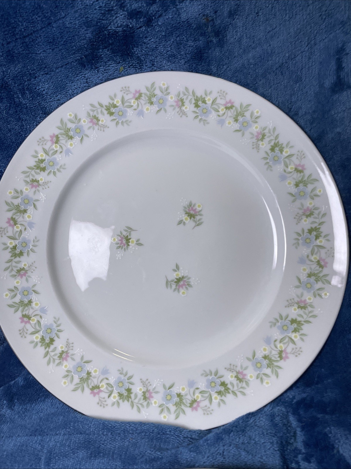 Johann Haviland Bavaria Germany “Forever Spring” Set of 4 DinnerPlates, 10”