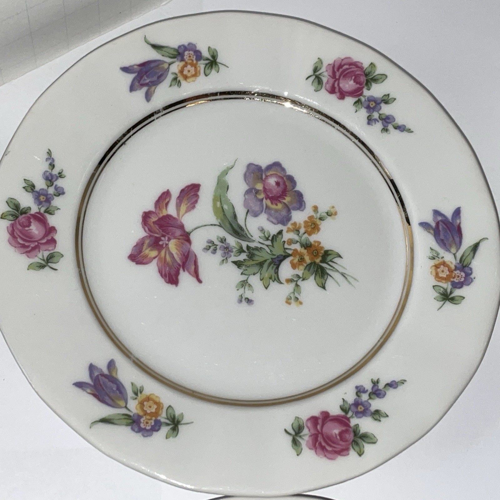 Raynaud Limoges Dresden Floral Style 6 bread dessert Plates 6 1/4” Gimbel bros.