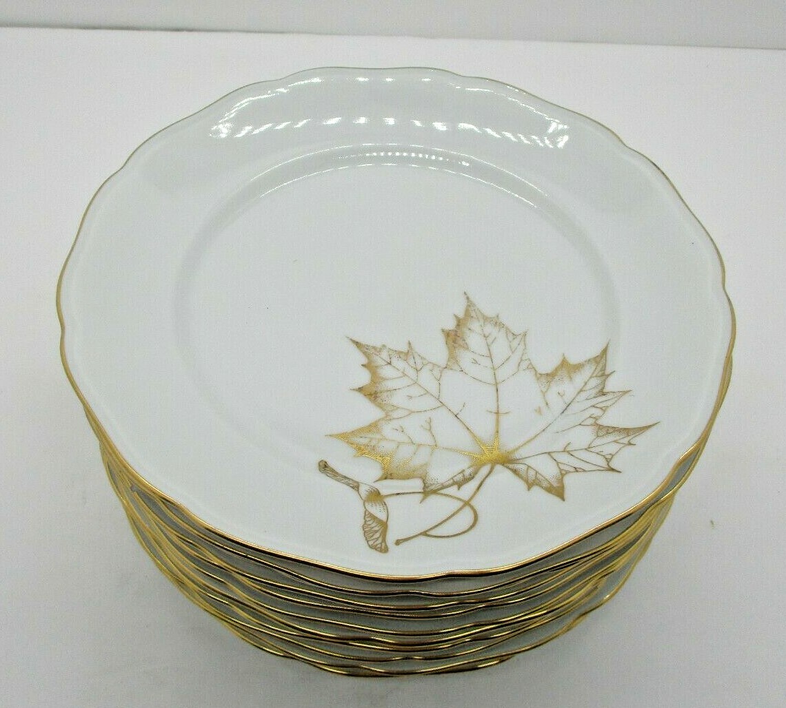 11 Gold Trim Maple Leaf Freiberger Porzellan Plates