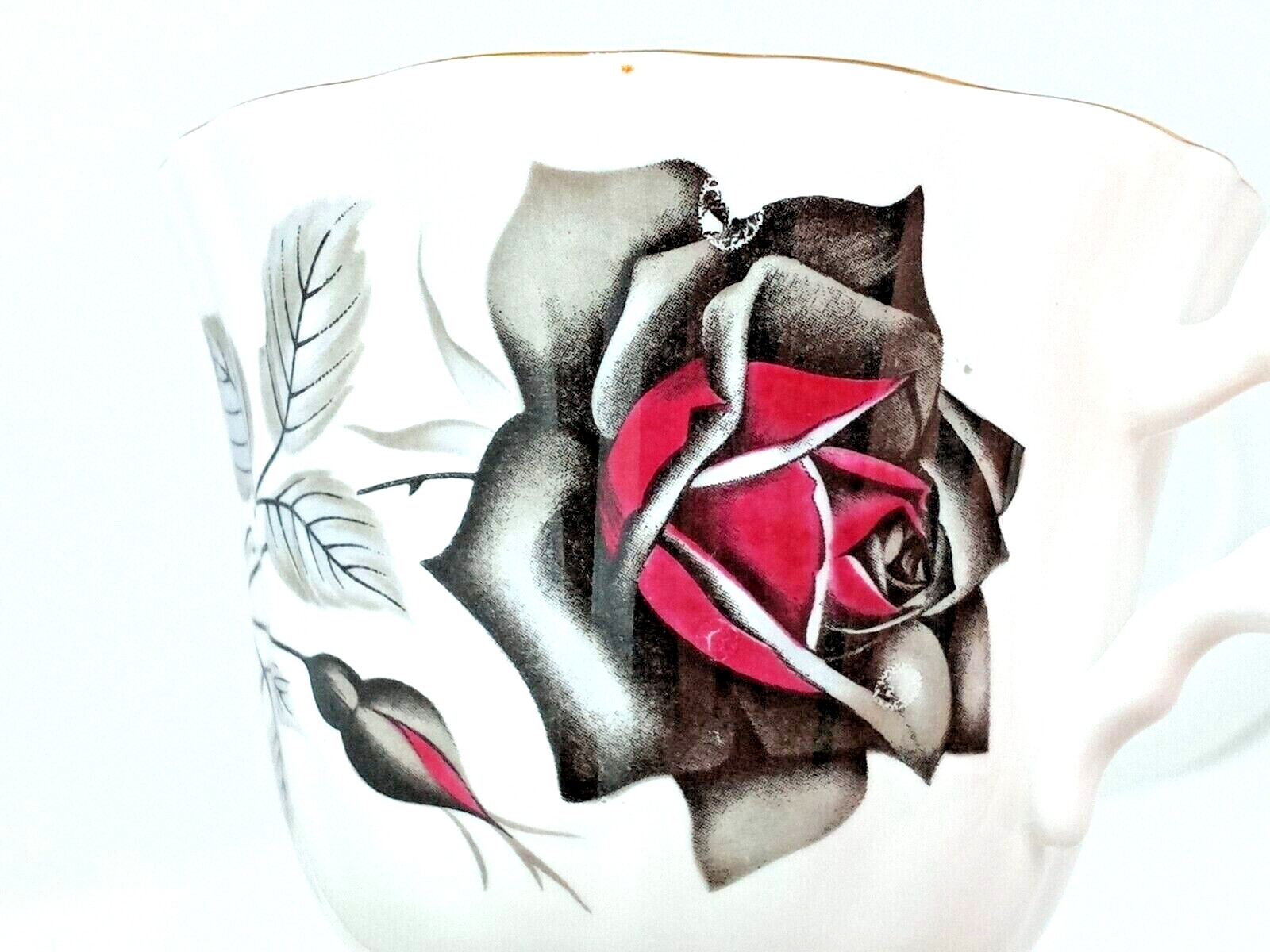 Royal Grafton Tea or Coffee Cup Saucer Black Rose Set Bone China Made in England